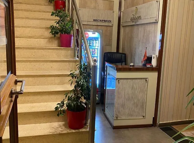 Hotel Edisem 4*